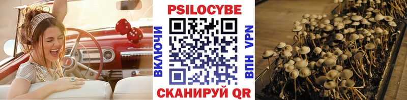 хочу   Сельцо  Галлюциногенные грибы прущие грибы 